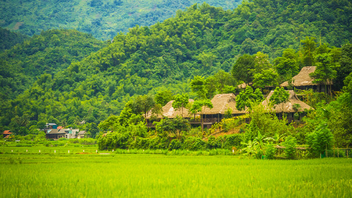 Pom Coong - Mai Chau