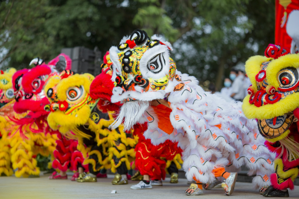 lion dance - A cultural highlight of the mid-autumn festival
