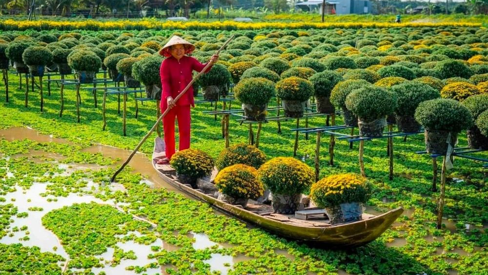 Why the Mekong Delta Should Be on Every Traveler’s Vietnam Itinerary?